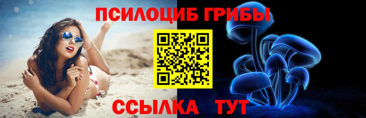 Галлюциногенные грибы мицелий Лесозаводск