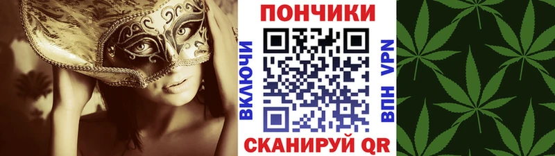 Шишки марихуана семена Лесозаводск